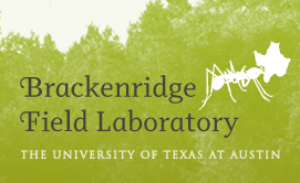 Brackenridge Field Laboratory Logo